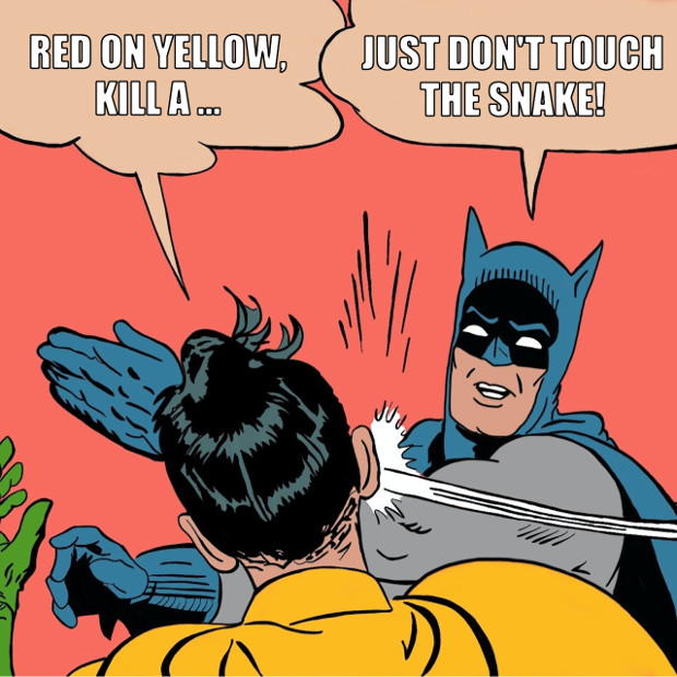 Just don't touch the snake